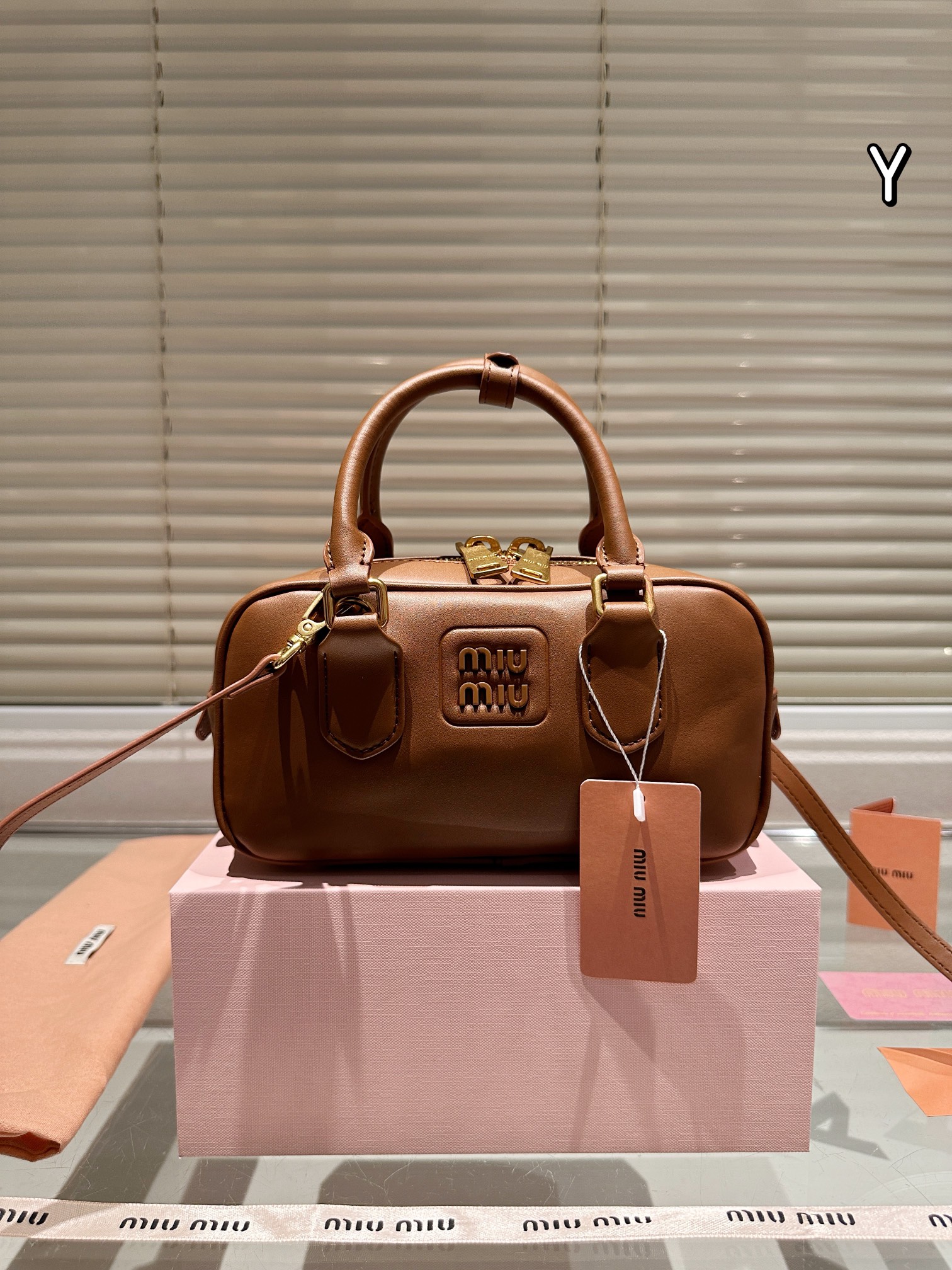 MiuMiu bag 179